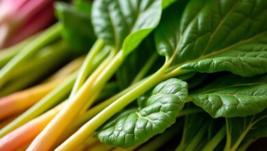 Perfekt eingefroren: So bleibt Mangold lange frisch