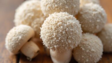 Weißer Flaum auf Champignons: Muss man die Pilze wegwerfen?