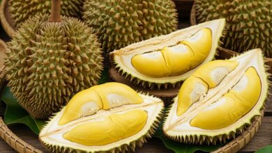 Durian: Die mutigste Frucht der Welt