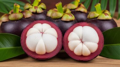 Mangostan – Die Königin der Früchte