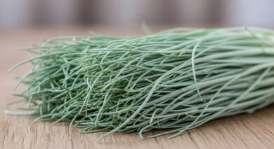 Mönchsbart – Das silberne Supergemüse