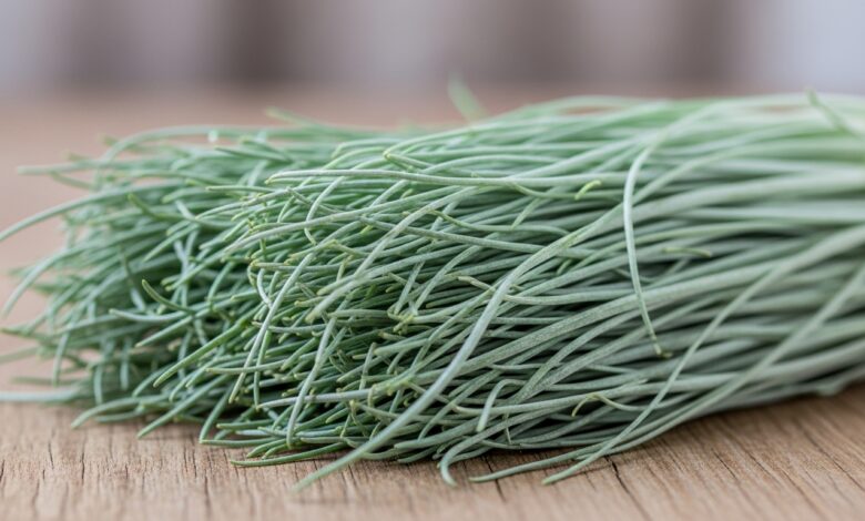 Mönchsbart – Das silberne Supergemüse